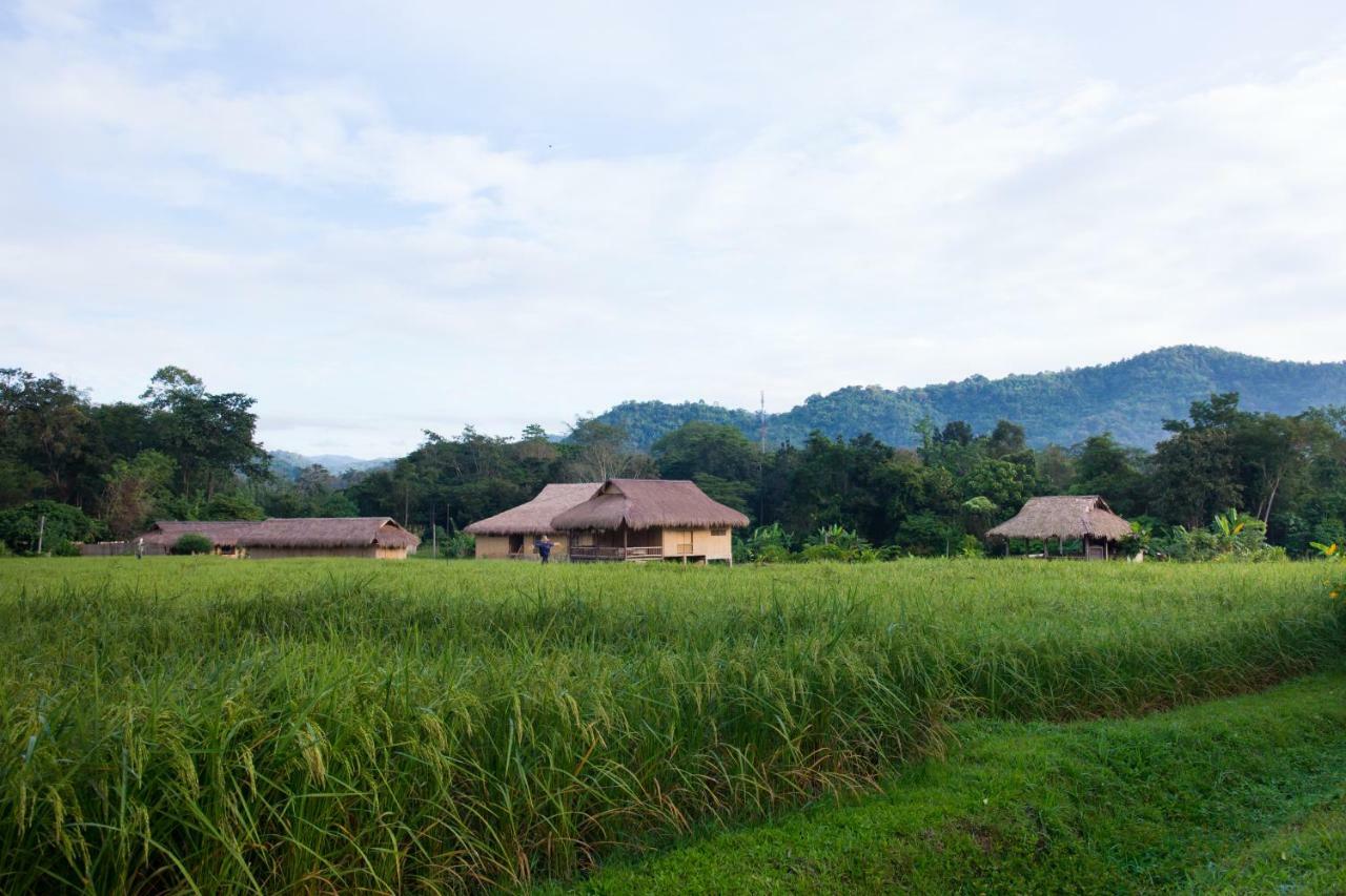 Lisu Lodge Meteng Kültér fotó