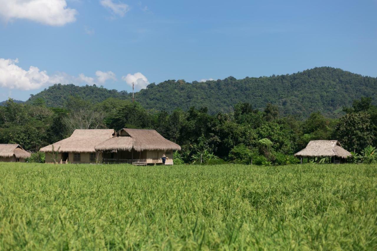Lisu Lodge Meteng Kültér fotó